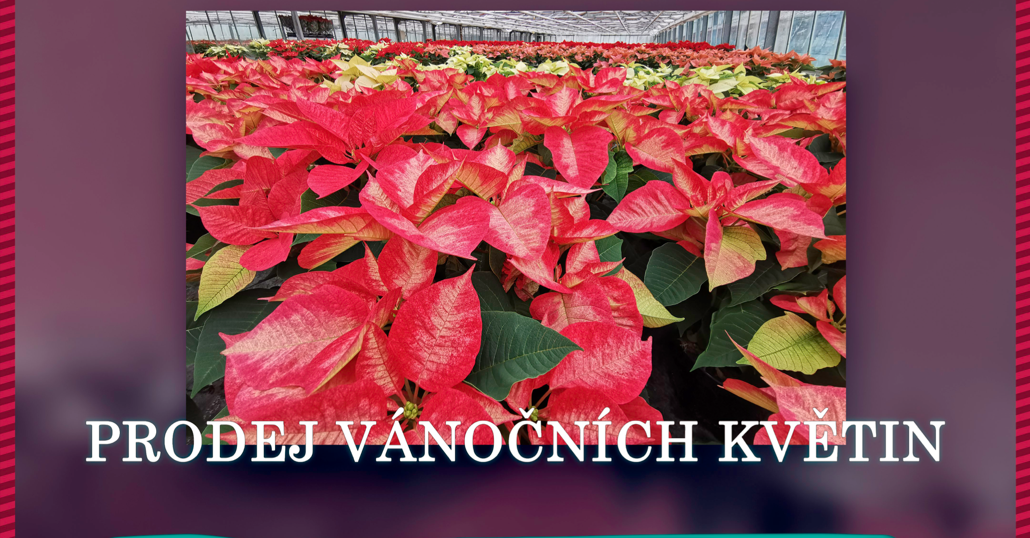 Zahájení adventního prodeje