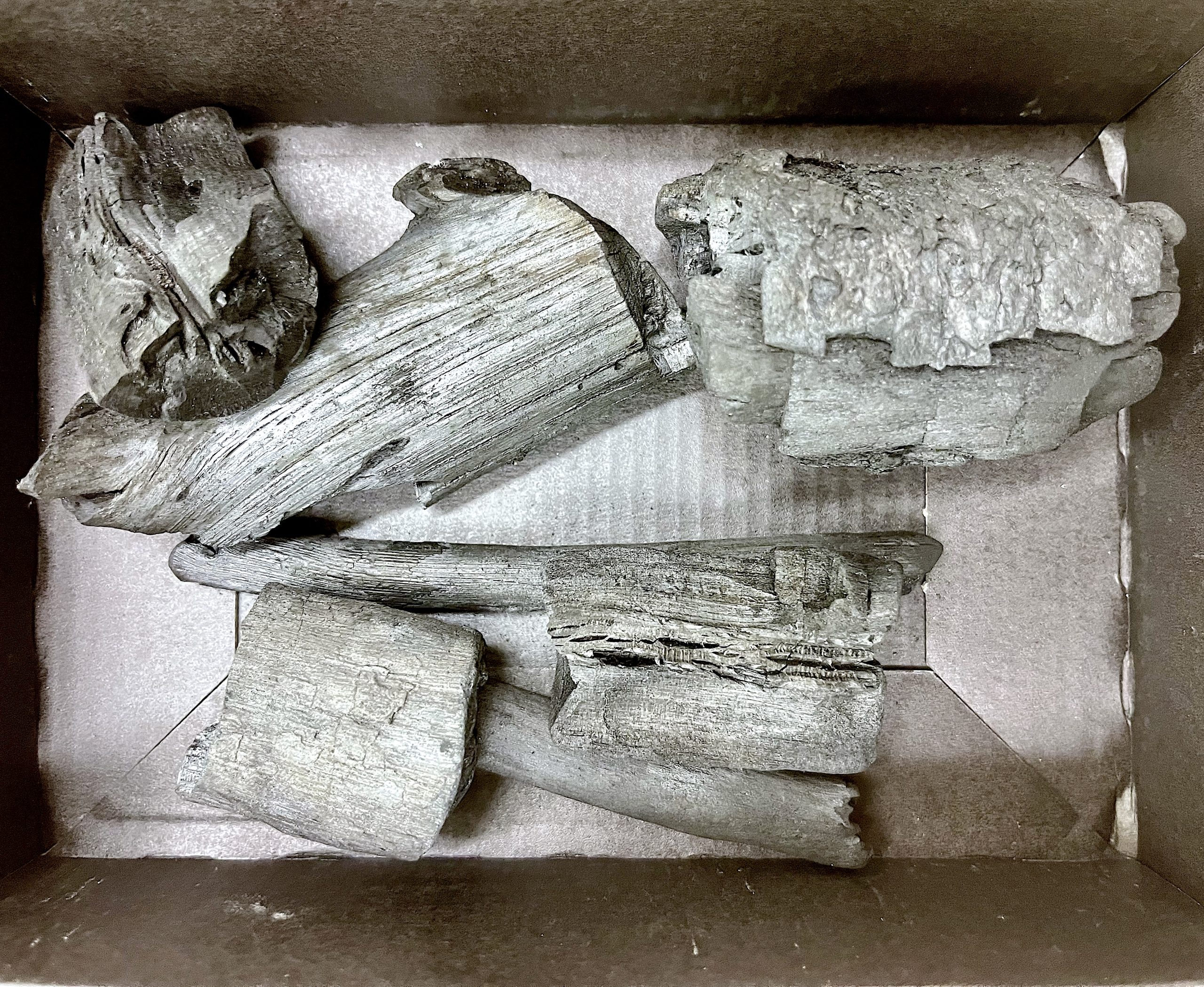 Stali jsme se členy Svazu zakládání a údržby zeleně