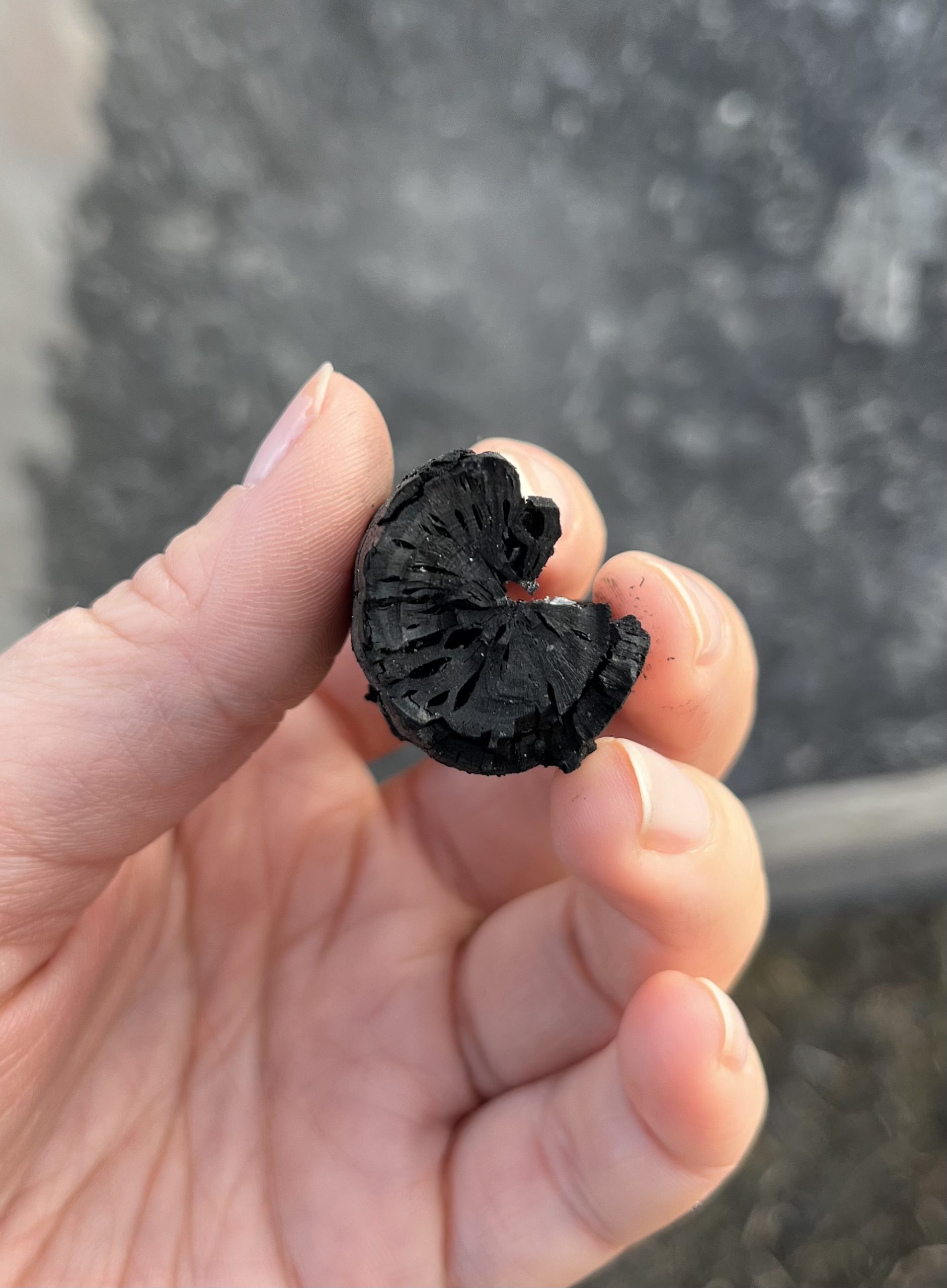 Výroba biouhlu na Michovkách – první žeh