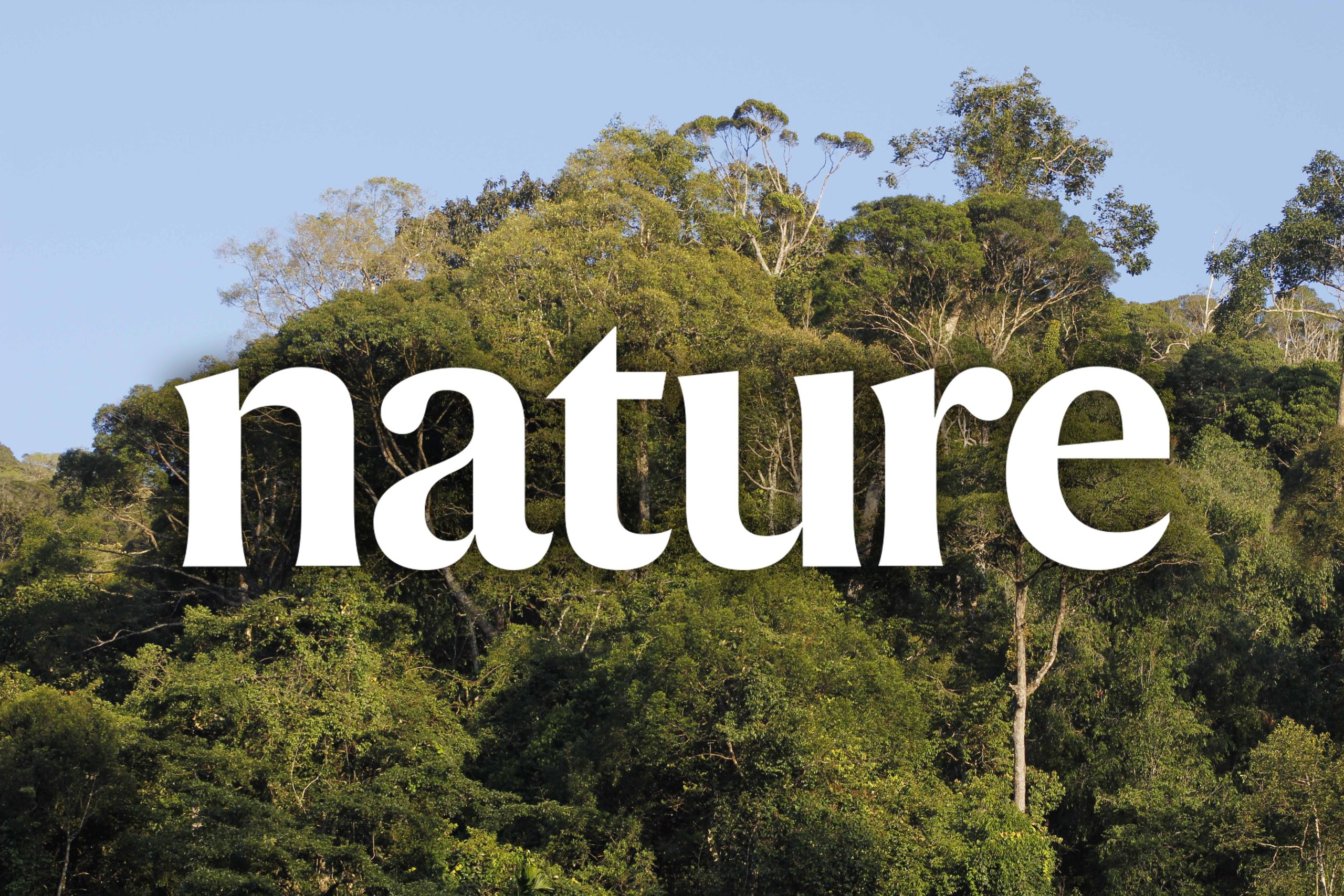 Publikace v NATURE: druhová bohatost a mortalita lesů