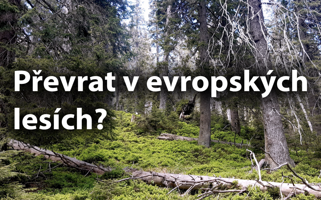 Změna v odhadovaném potenciálu poutání CO2