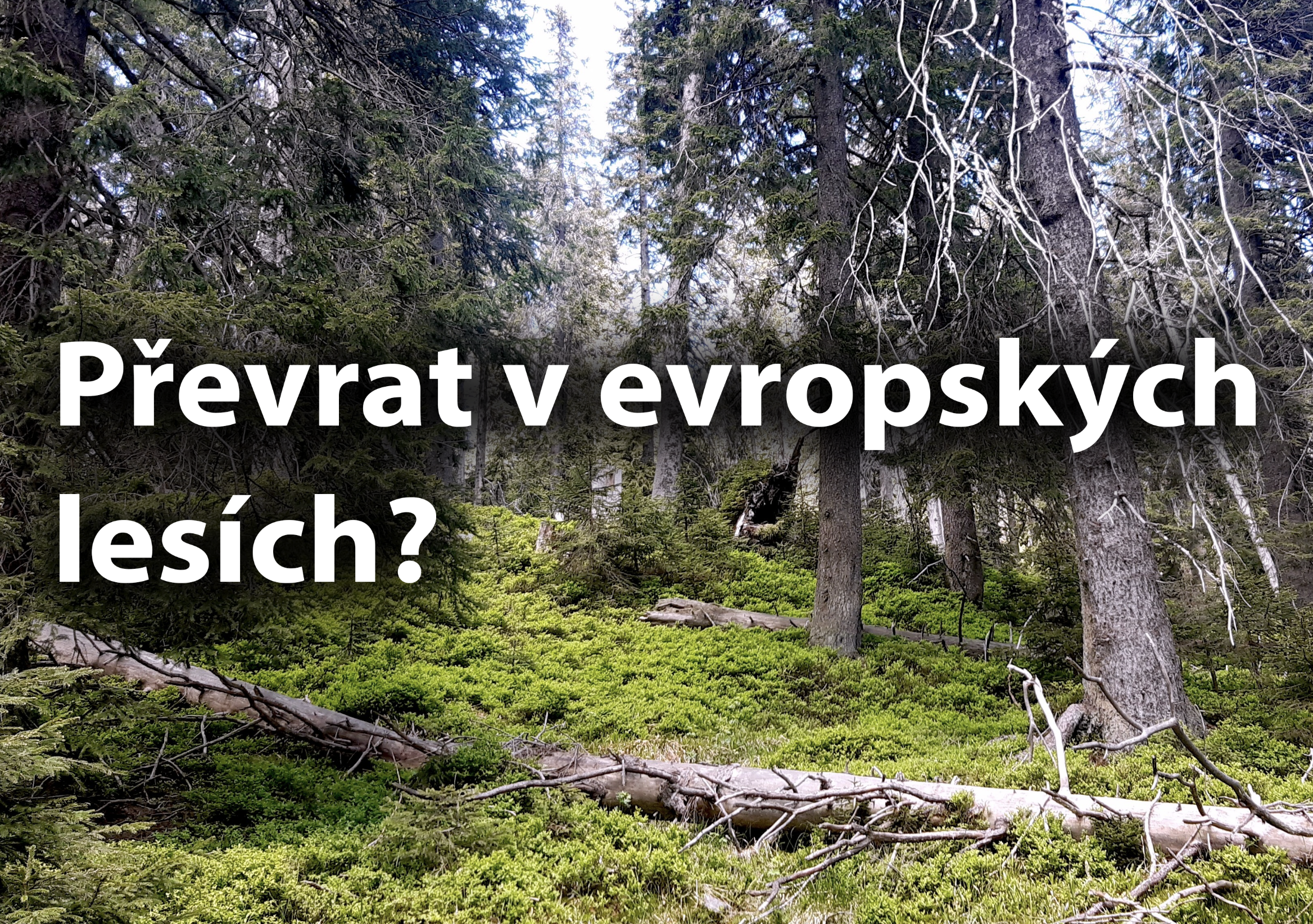 Změna v odhadovaném potenciálu poutání CO2