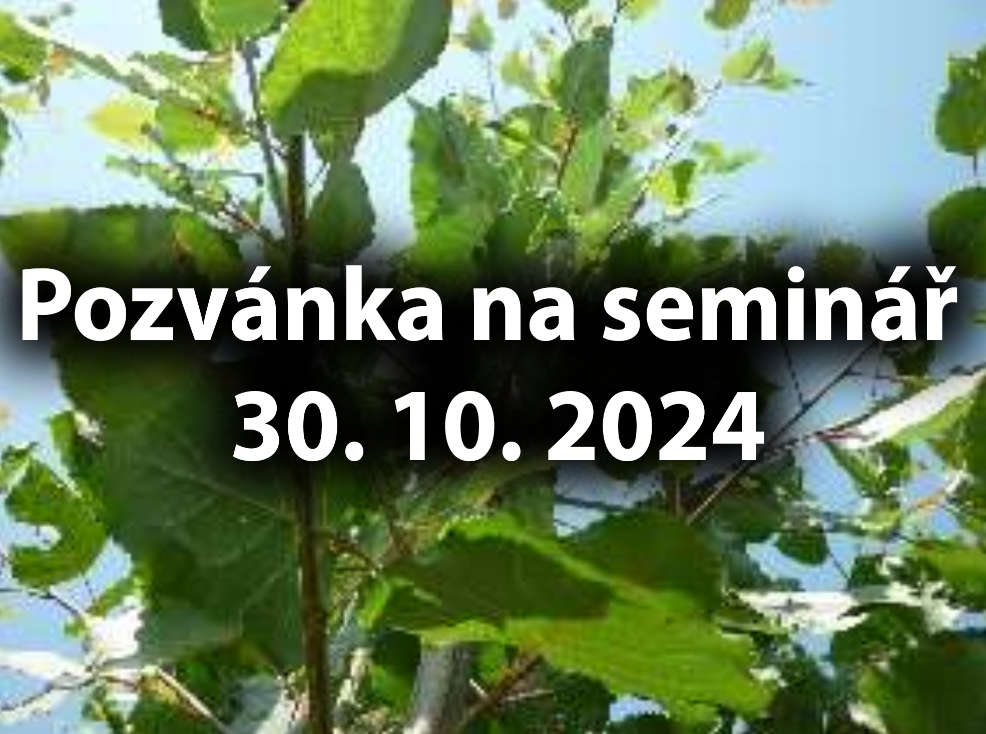 Potenciál biomasy vzhledem ke kritériím udržitelnosti a aspektu využití