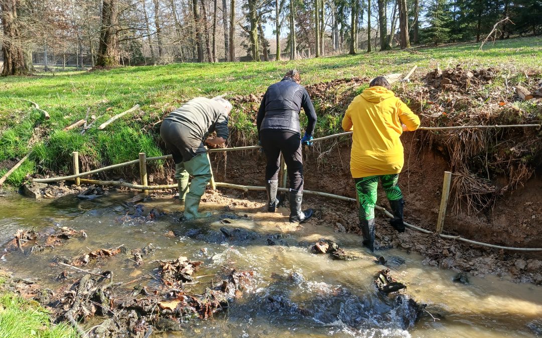 Workshop Využití vrb pro haťování bystřin
