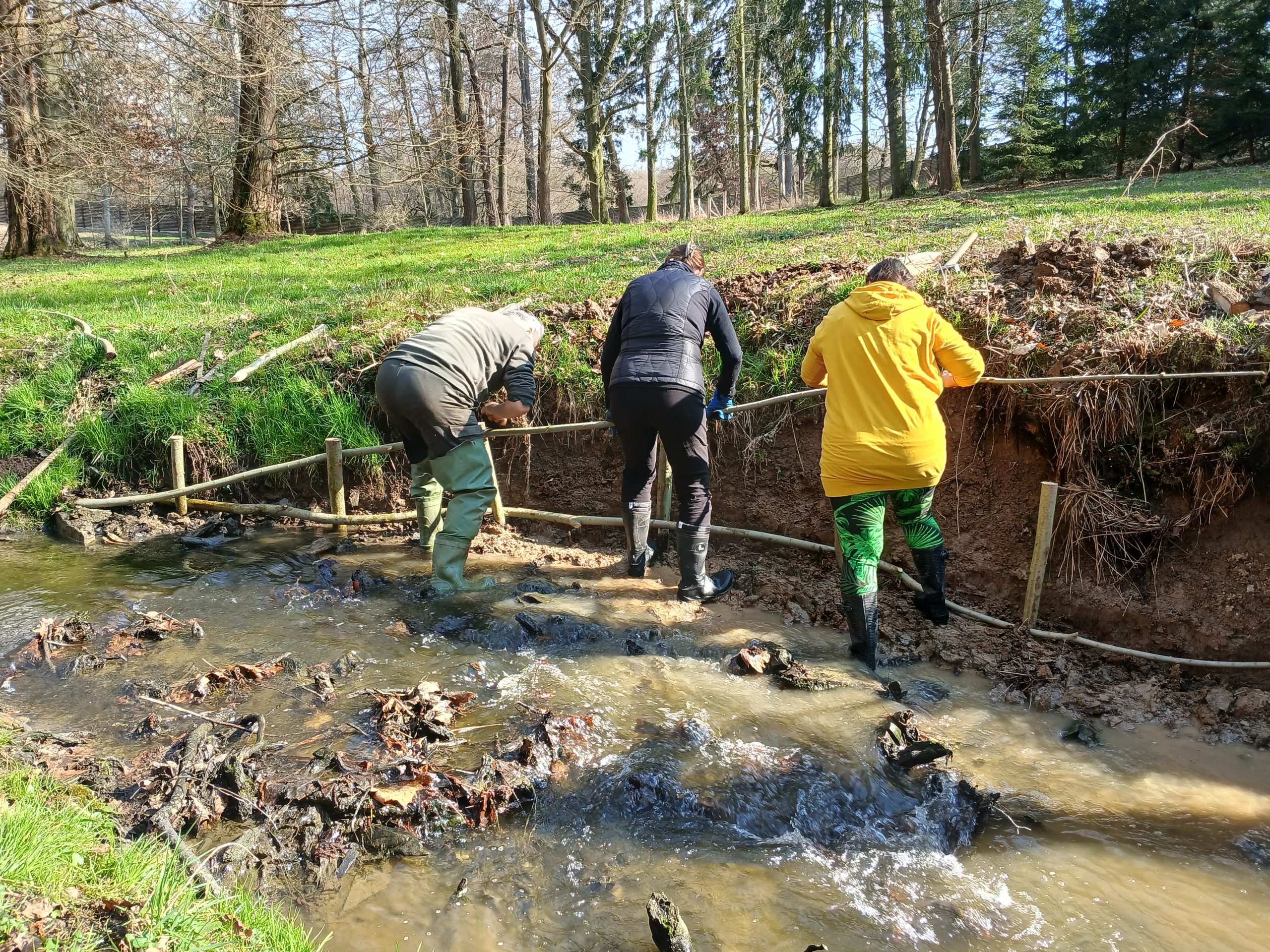 Workshop Využití vrb pro haťování bystřin