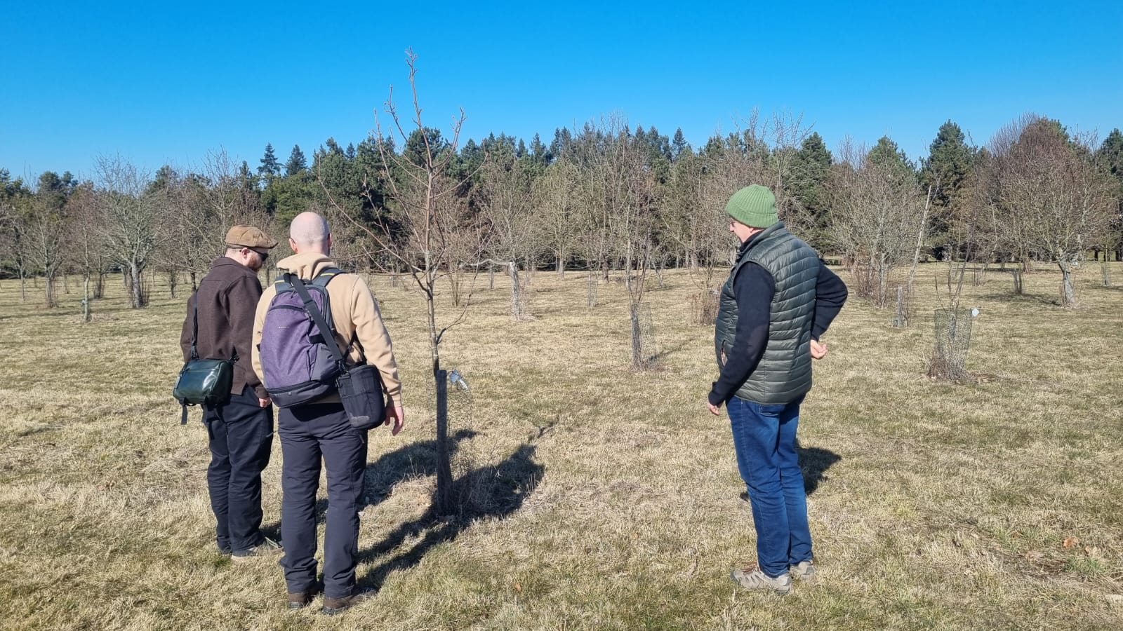 Britští botanici navštívili Průhonice za účelem mezinárodní spolupráce na ochraně jeřábů