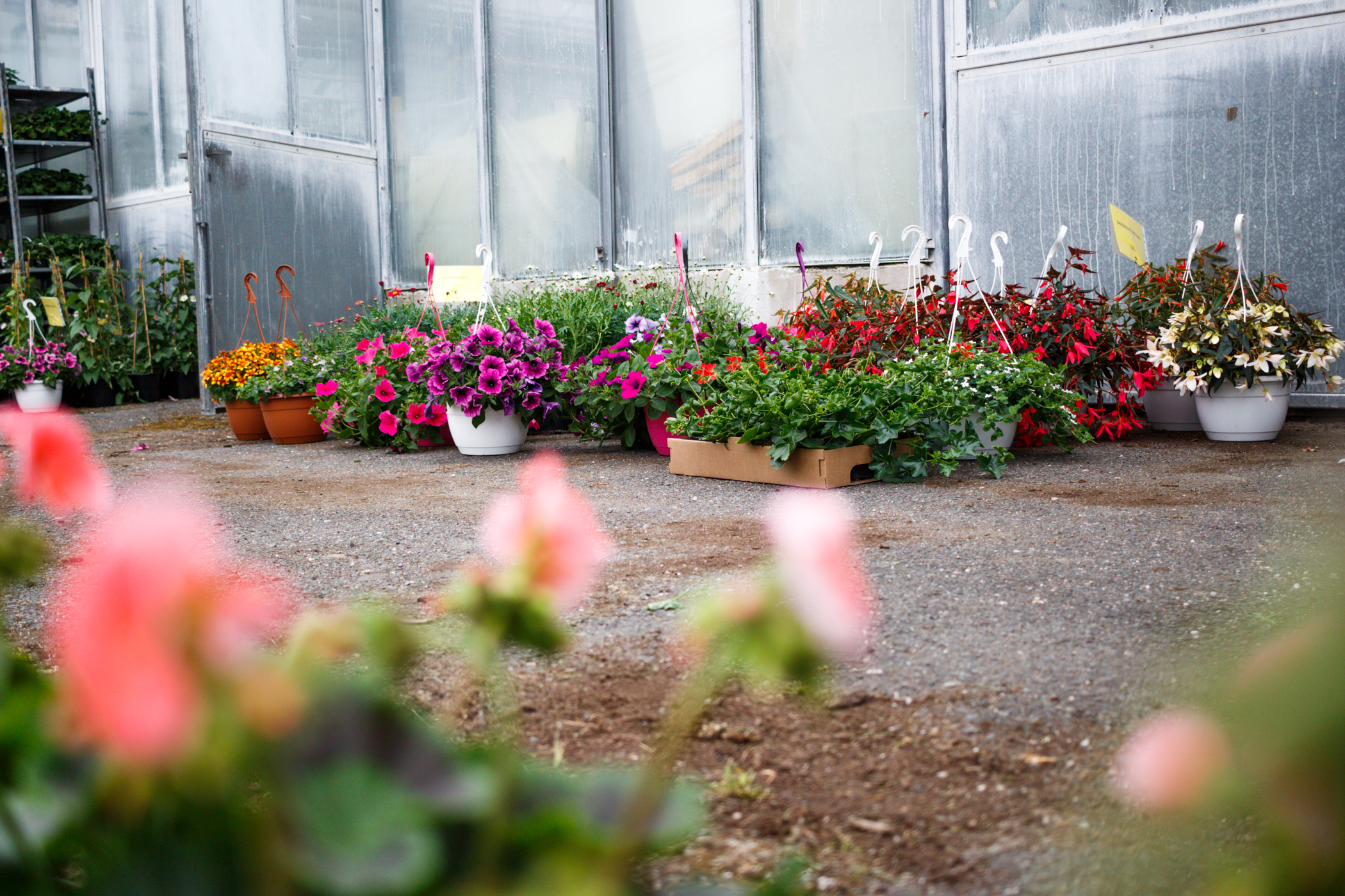 Jarní prodej květin v areálu VÚK