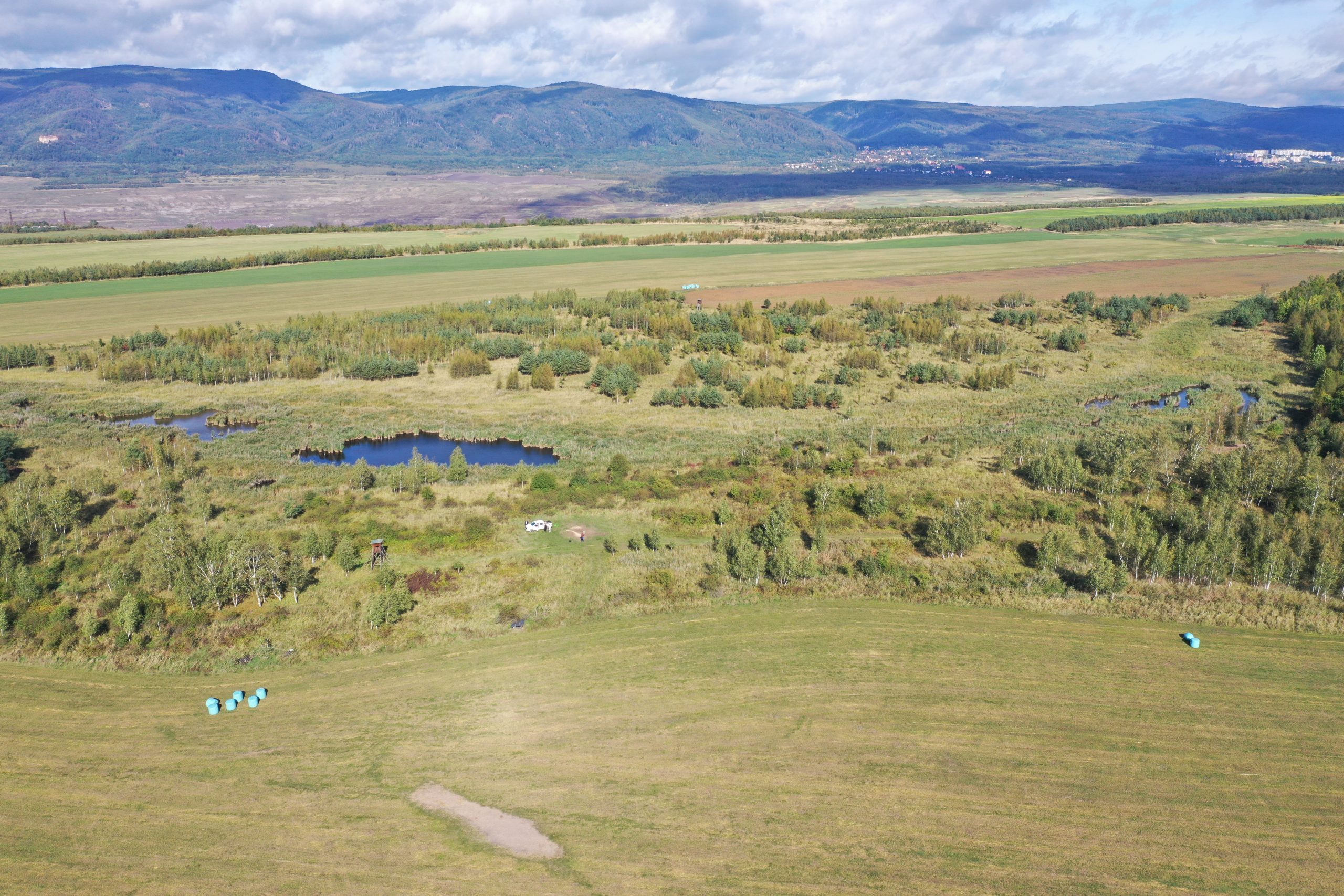 VÚK se podílí na obnově lomu ČSA v rámci projektu Green Mine, proběhla výsadba rychle rostoucích dřevin