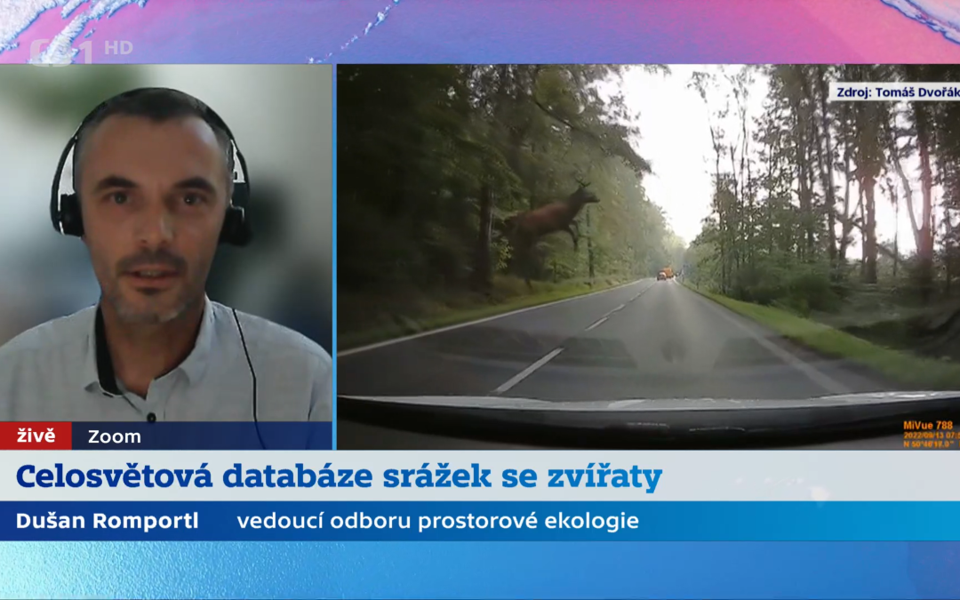 Dušan Romportl v ČT o celosvětové databázi střetů obratlovců s vozidly