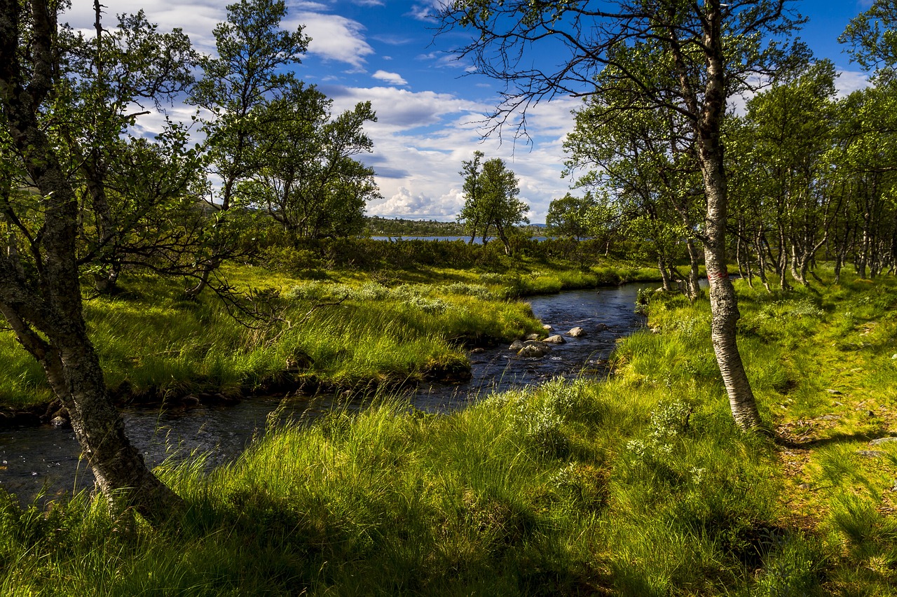 Nové projekty VÚK v Národním programu Životní prostředí